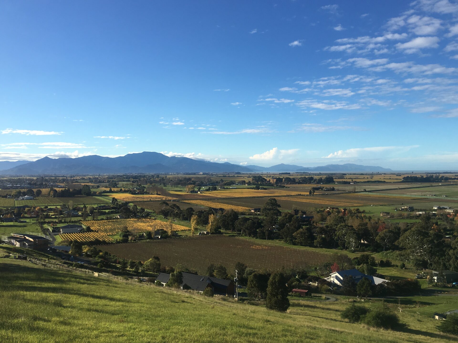 Blenheim, Nouvelle-Zélande