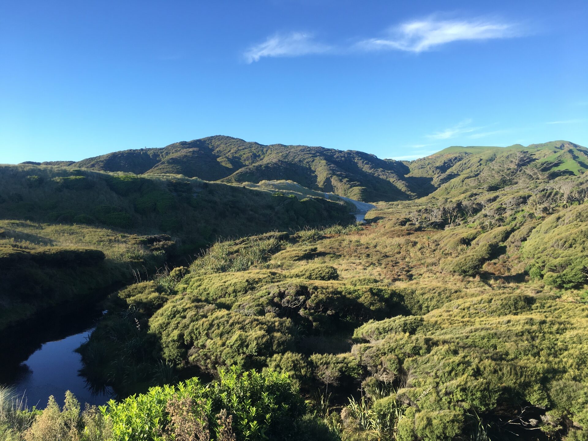 Cap Farewell, Nouvelle-Zélande