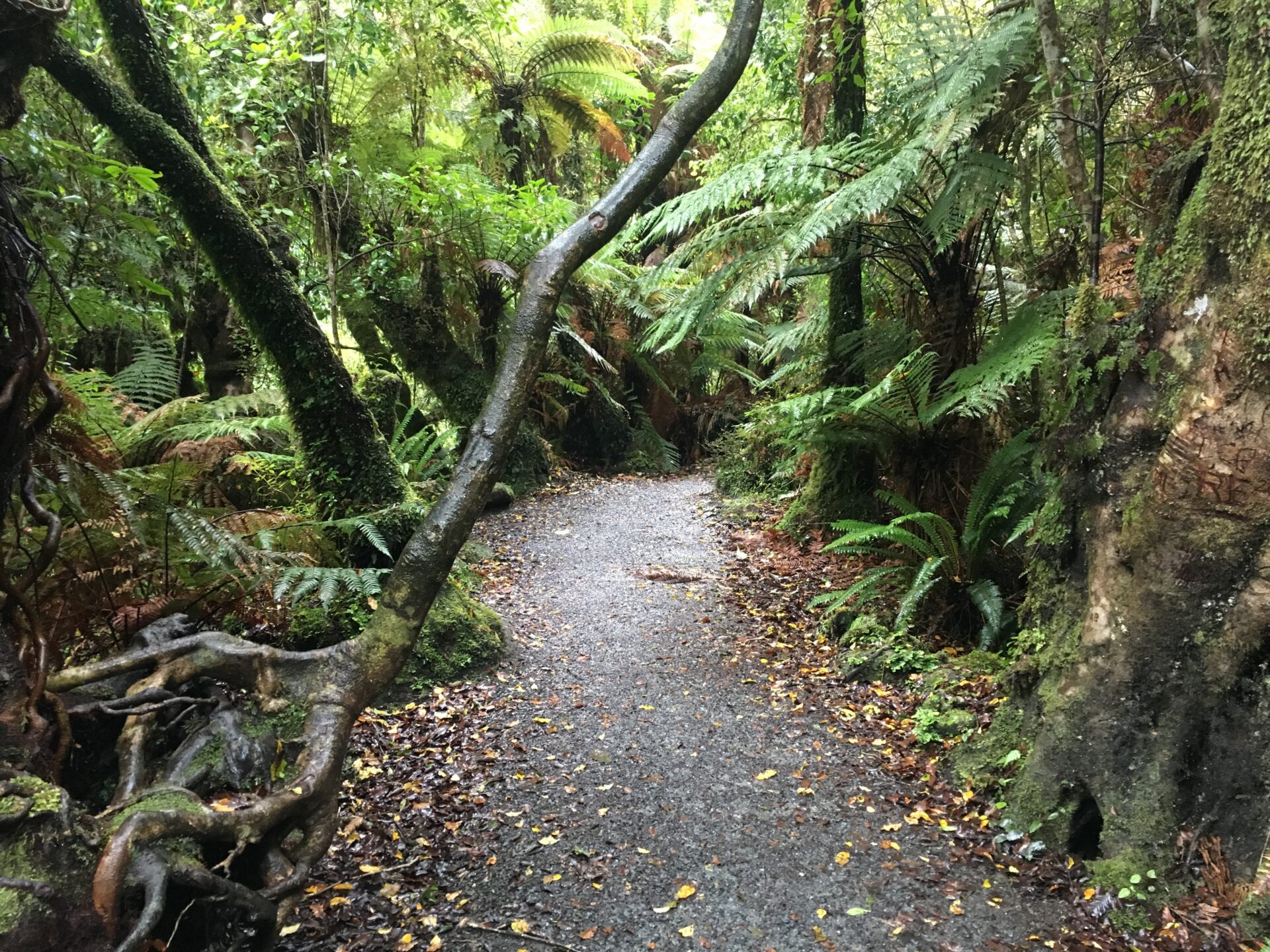 Les Catlins, Nouvelle-Zélande