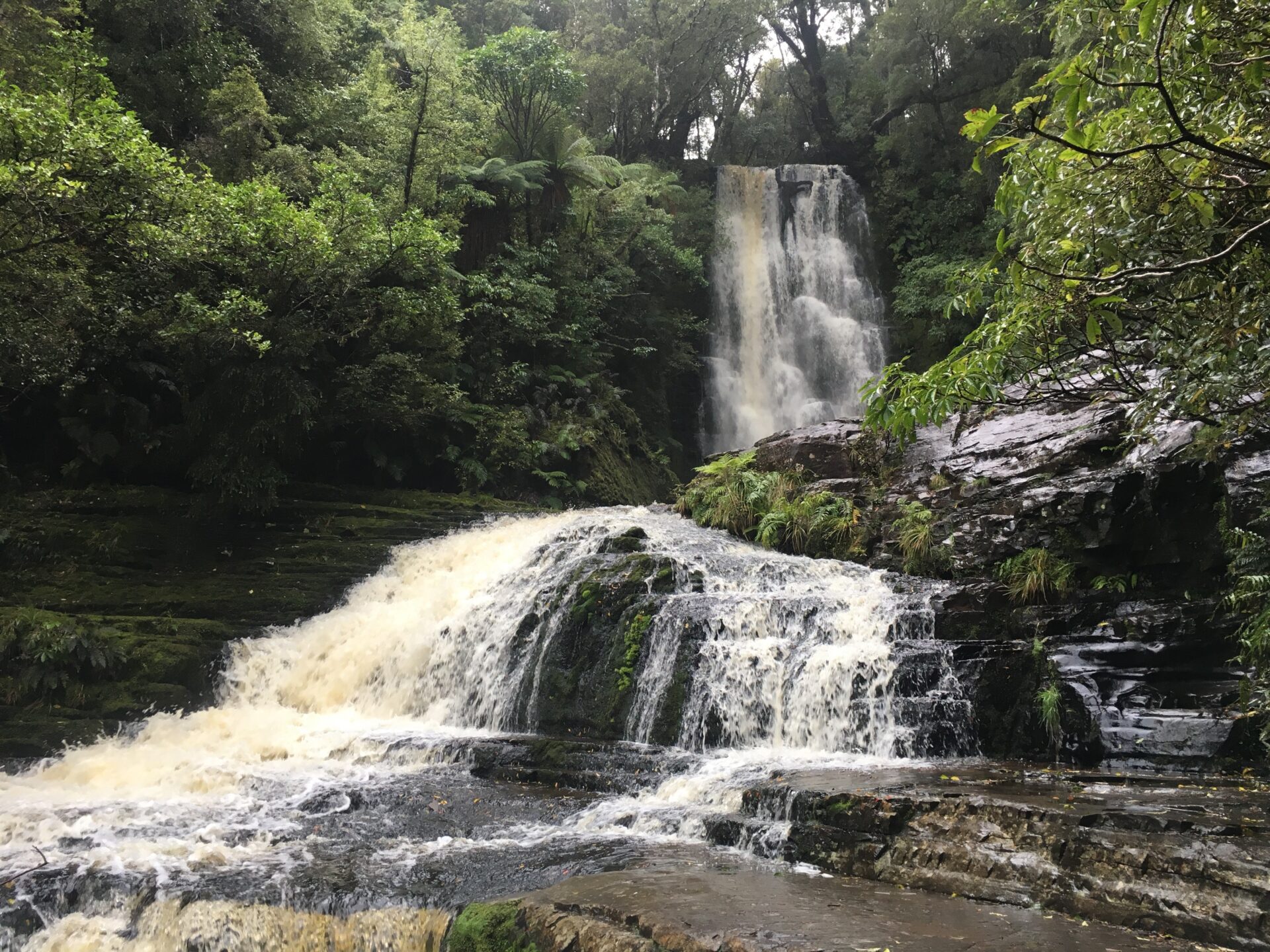 Les Catlins, Nouvelle-Zélande