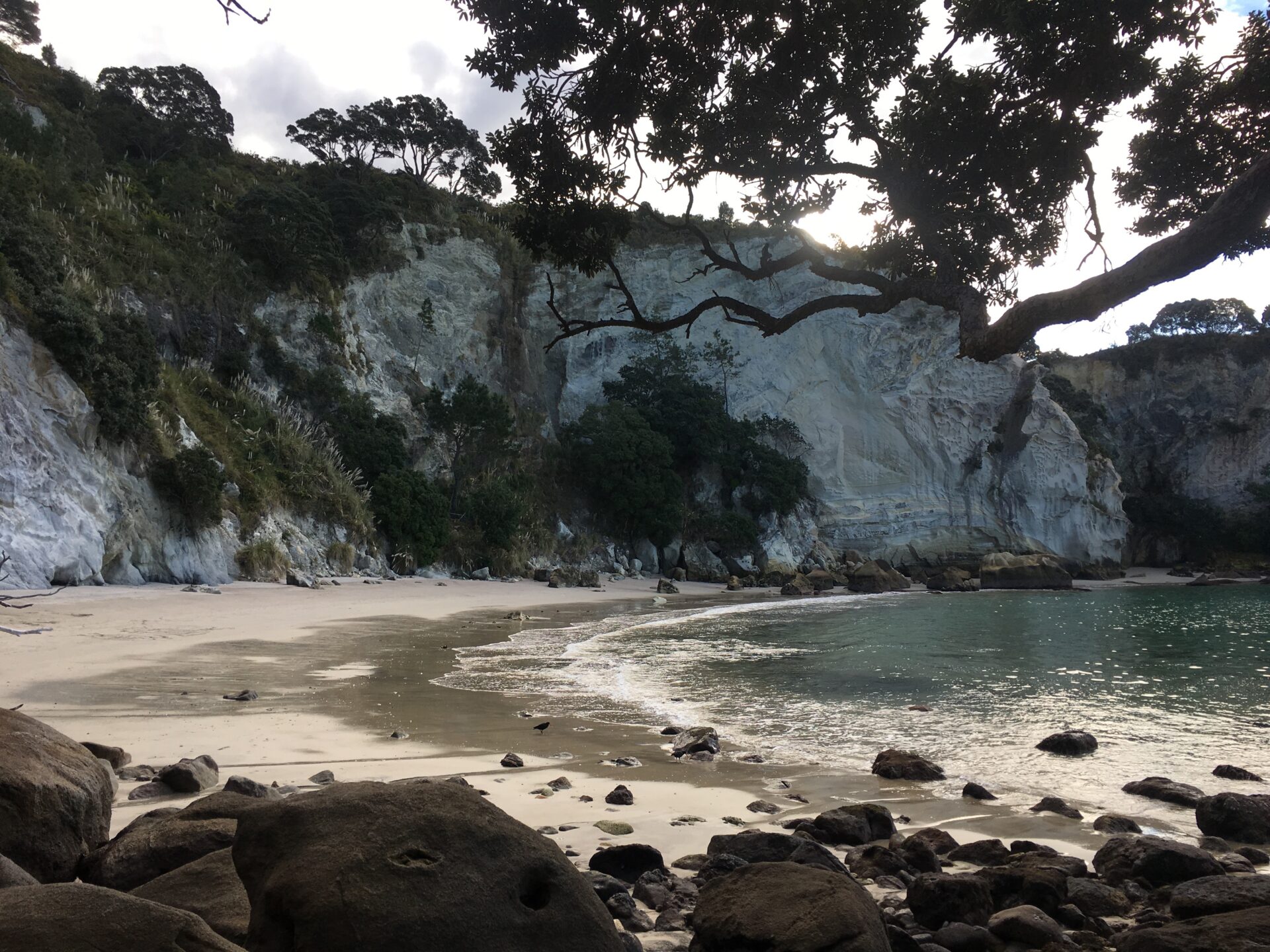 Péninsule de coromandel, Nouvelle-Zélande