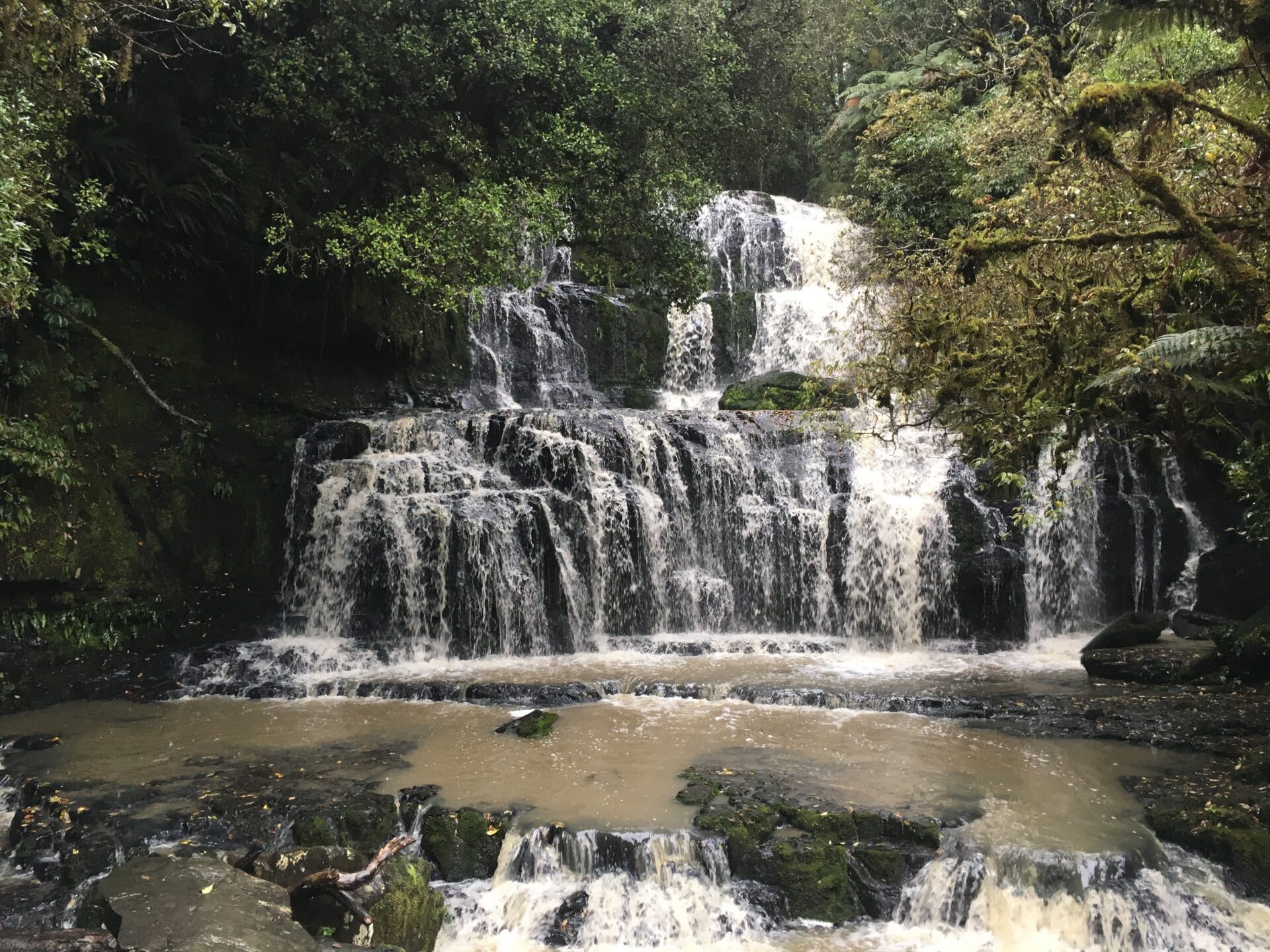 Les Catlins, Nouvelle-Zélande