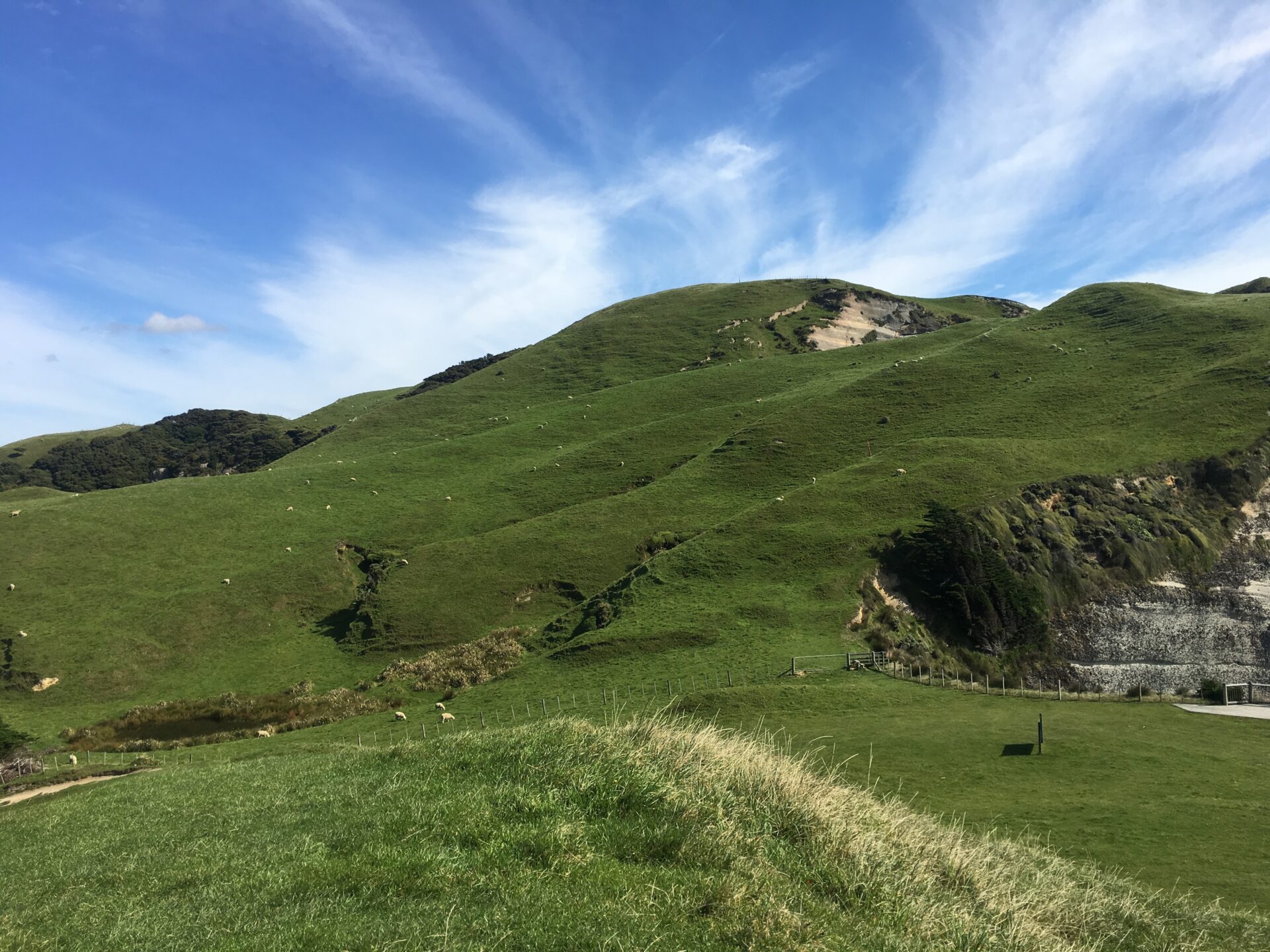 Cap Farewell, Nouvelle-Zélande