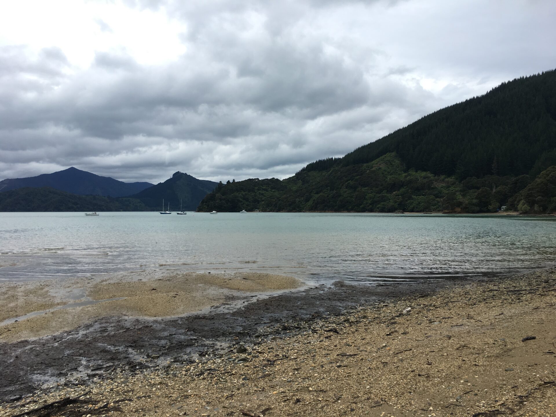 Malborough Sounds, Nouvelle-Zélande