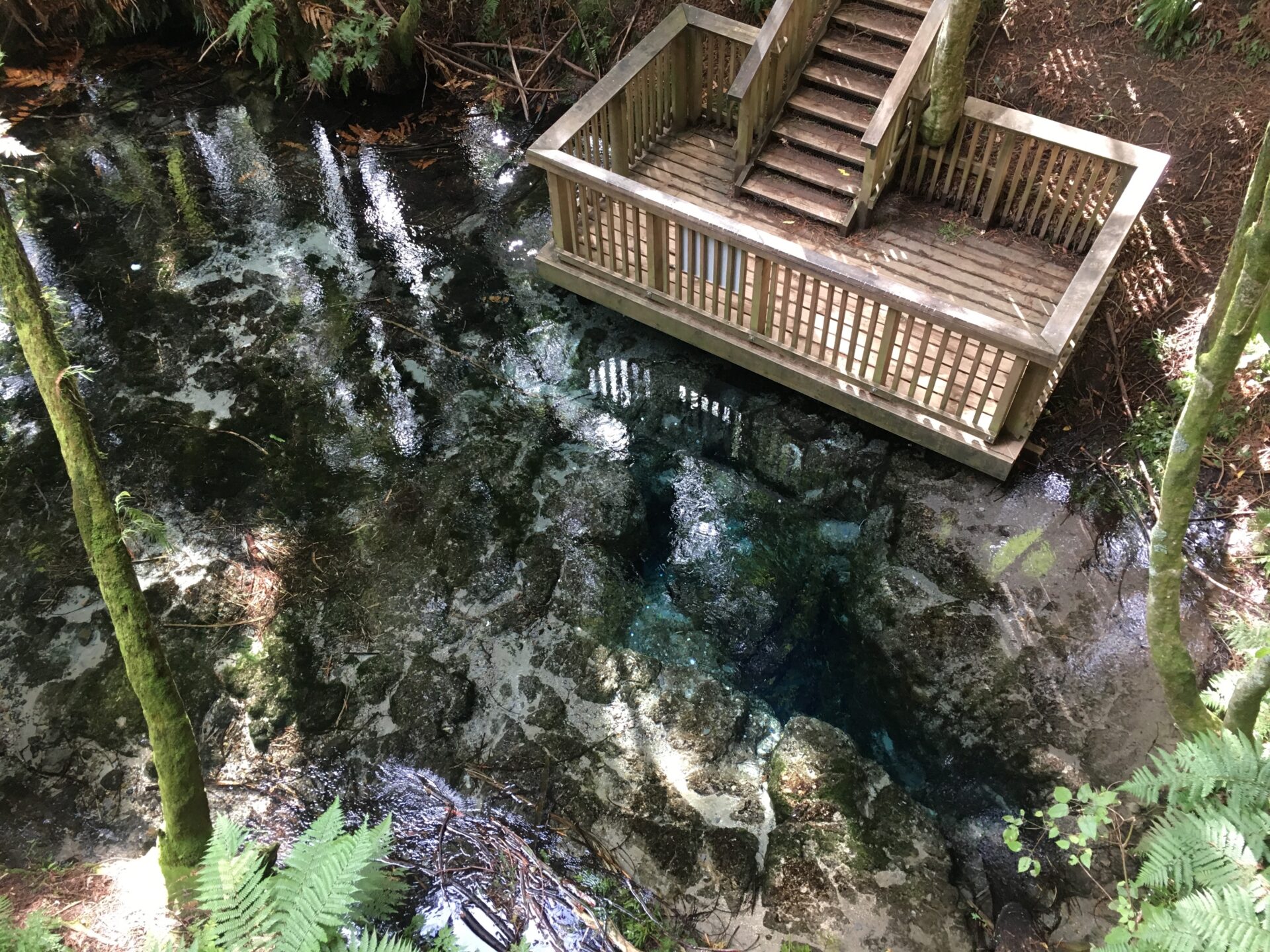 The Blue Spring, Nouvelle-Zélande