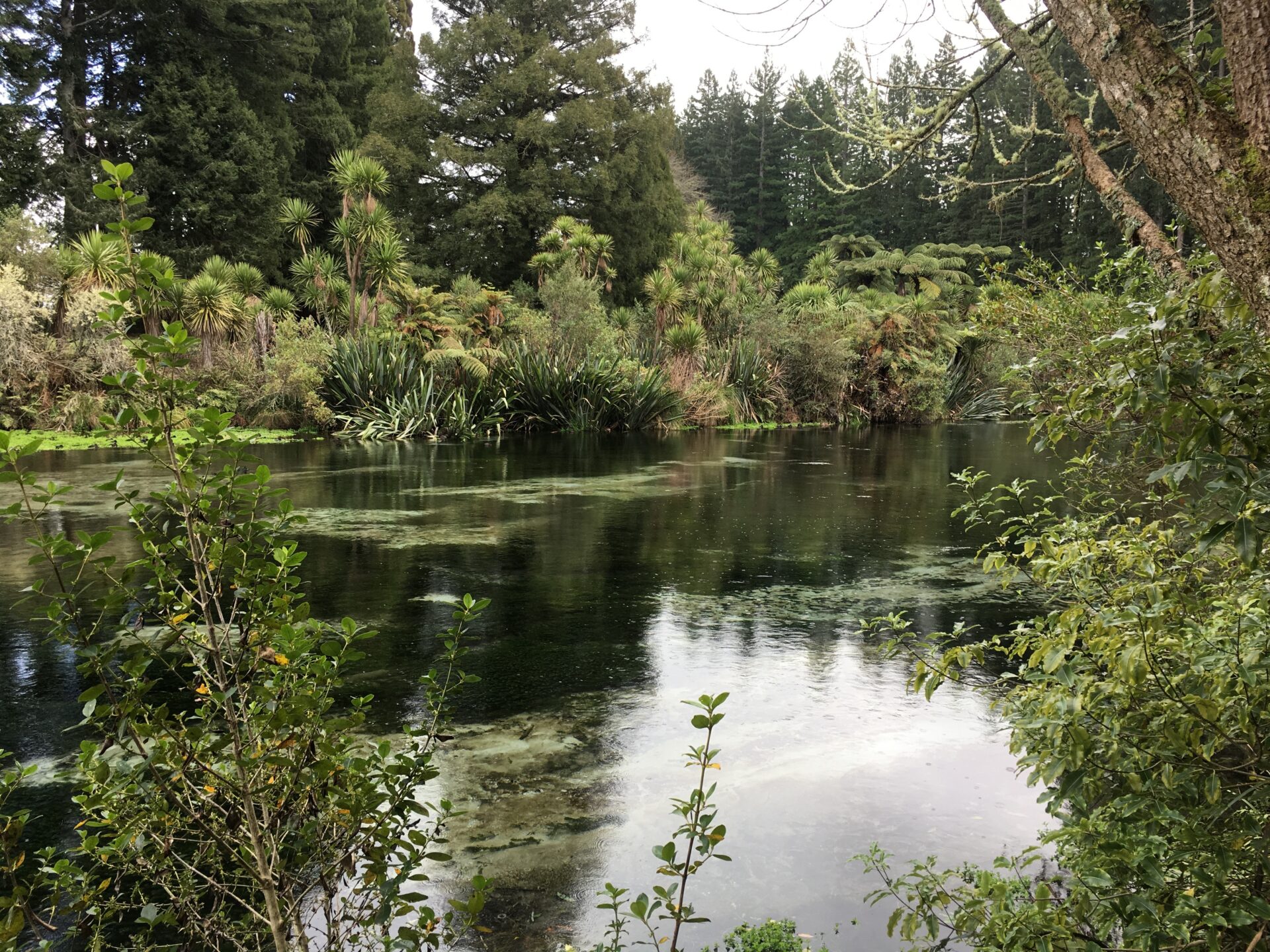 The Blue Spring, Nouvelle-Zélande