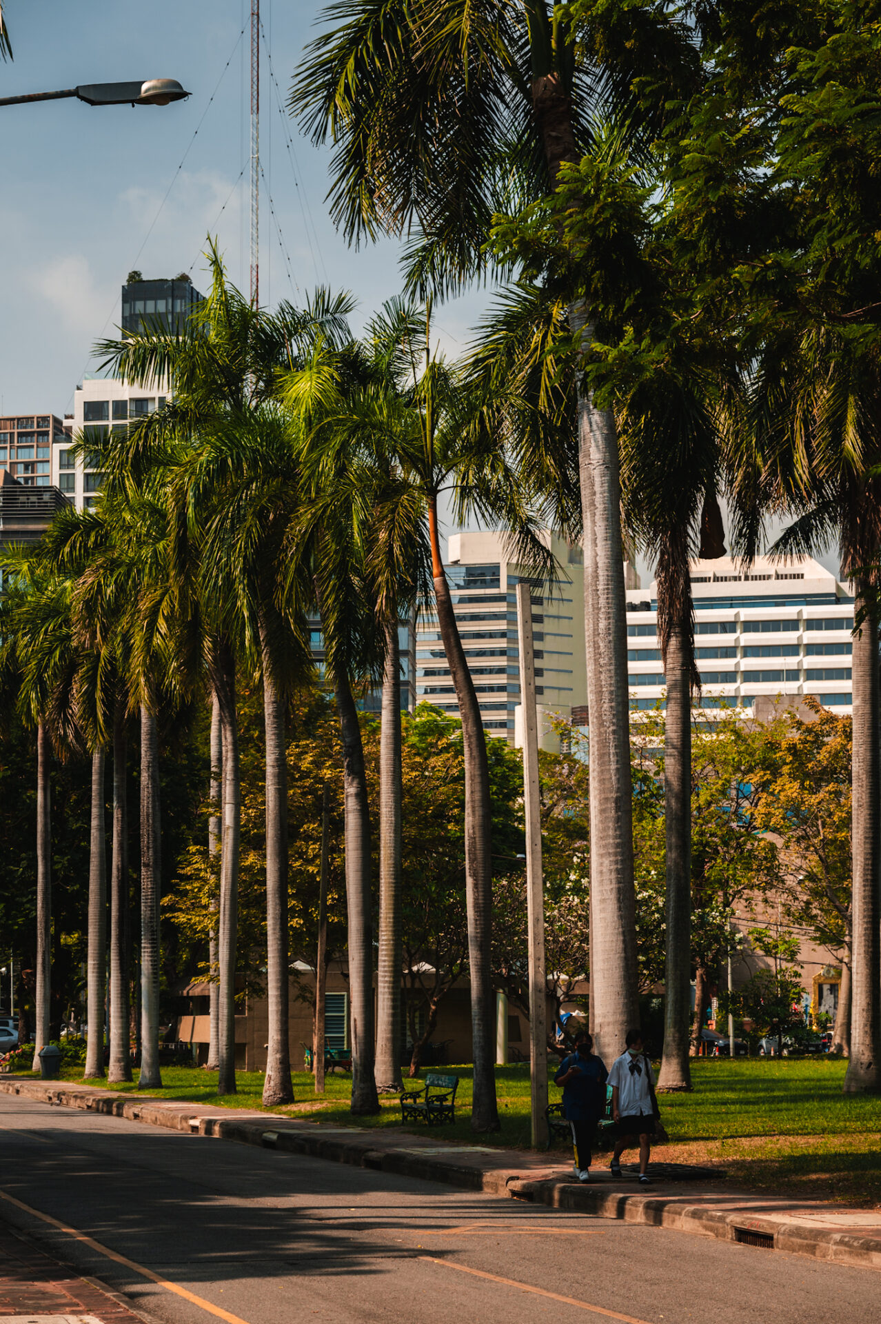 Lumphini park, Bangkok, Nouvelle-Zélande