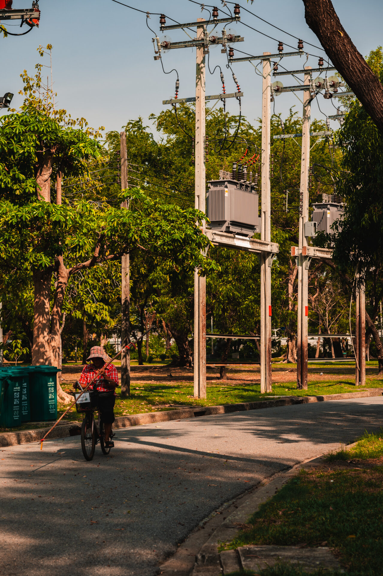 Lumphini park, Bangkok, Nouvelle-Zélande