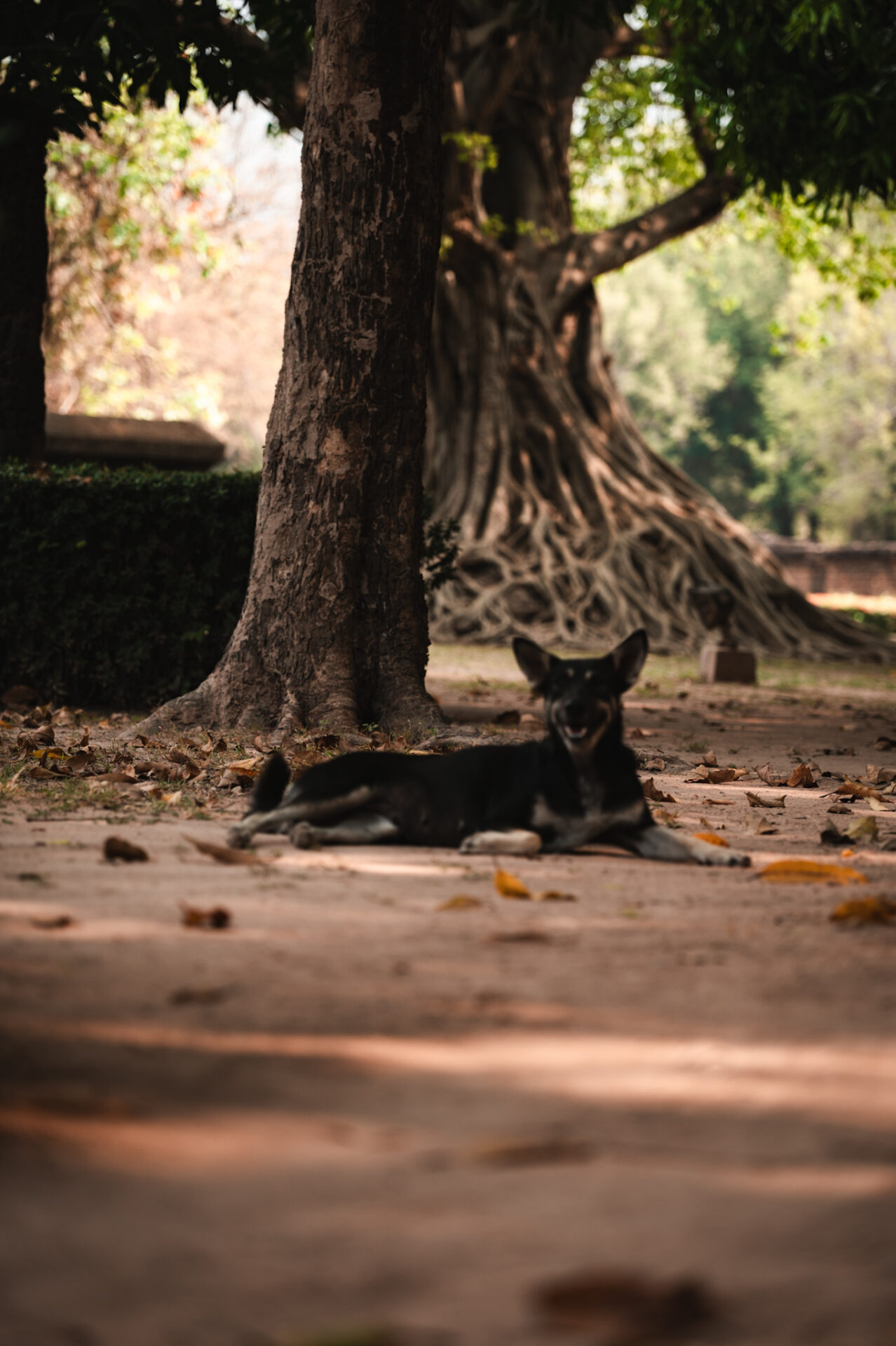 Sukhothaï, Thaïlande