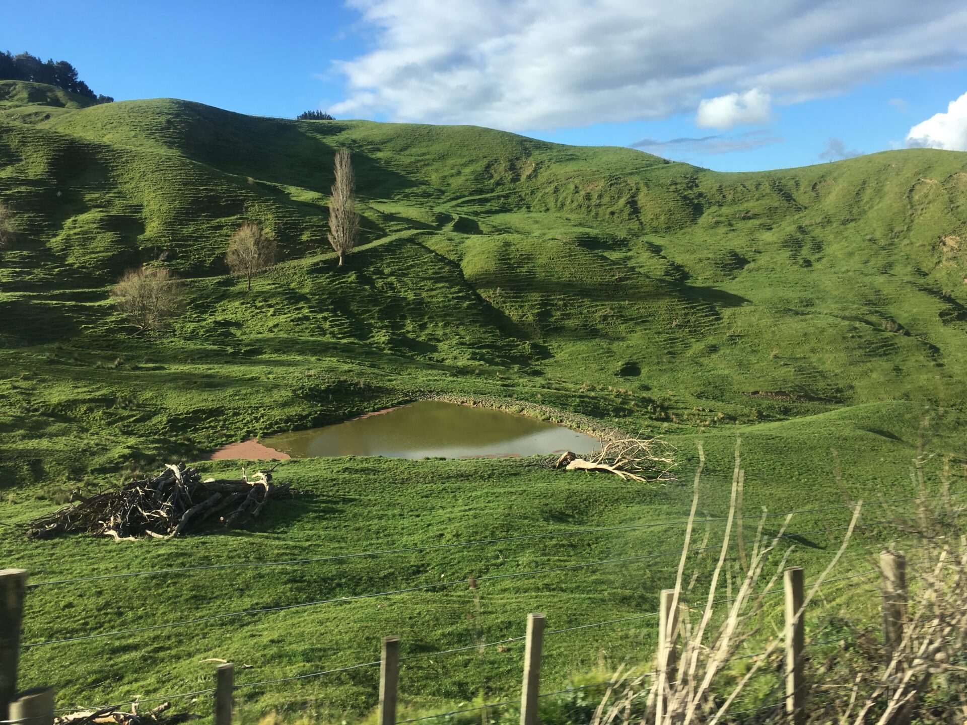 Gisborne, Nouvelle-Zélande