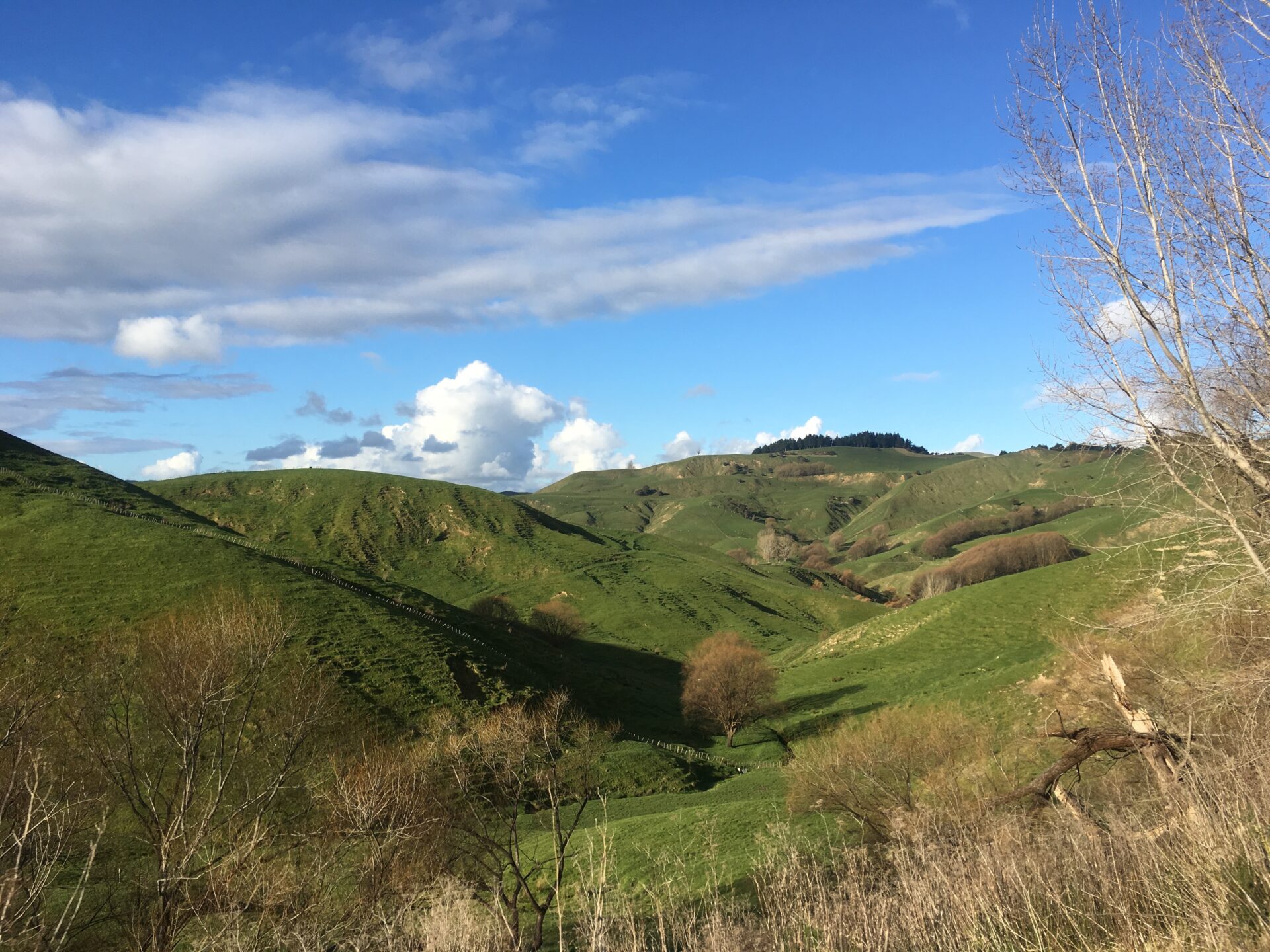 Gisborne, Nouvelle-Zélande