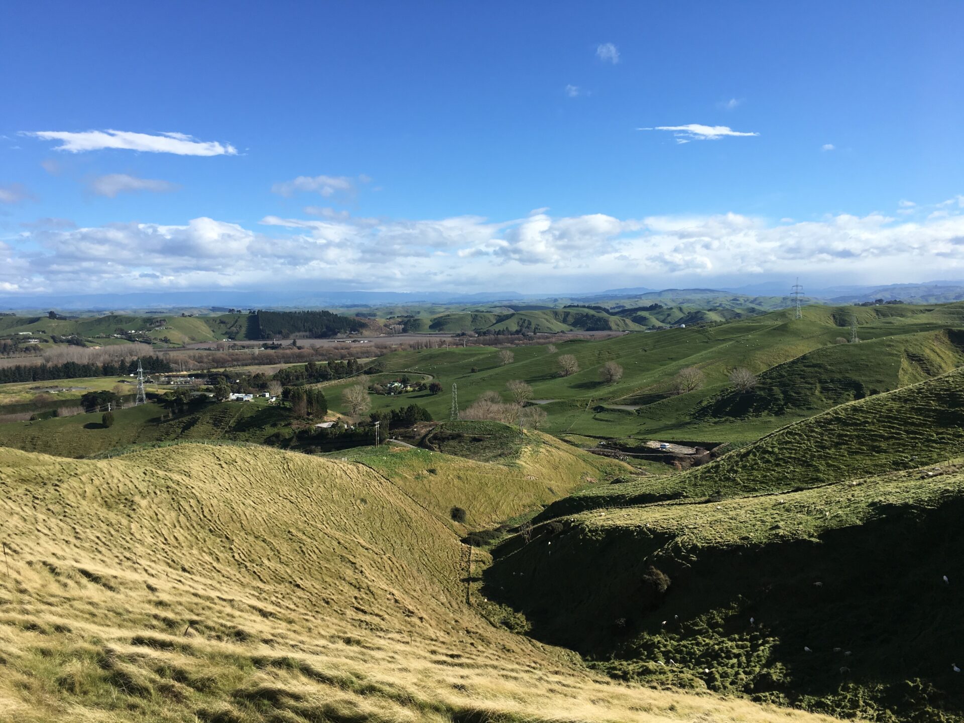 Hawke's bay, Nouvelle-Zélande