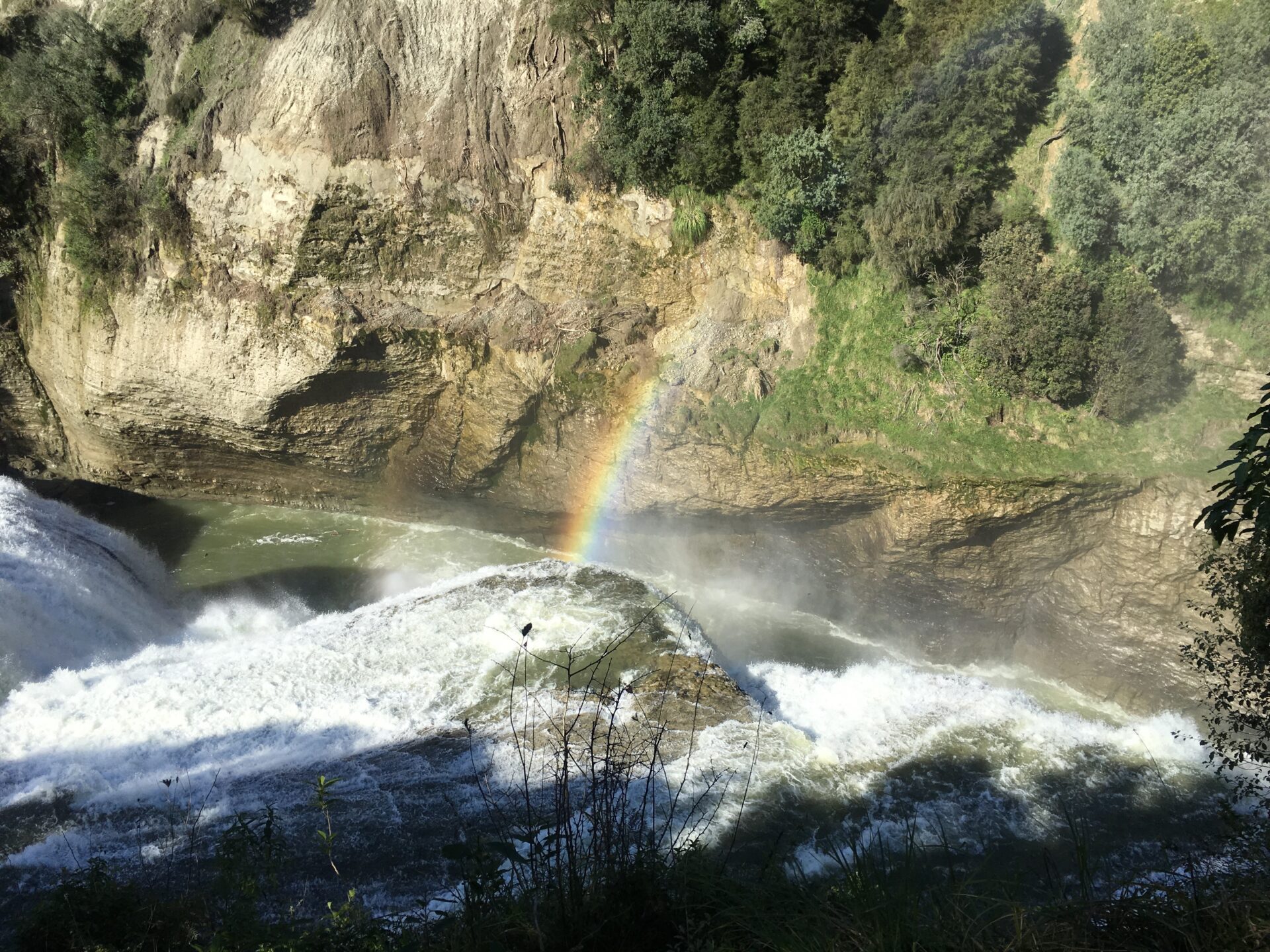 Te Urewera NP, Nouvelle-Zéland