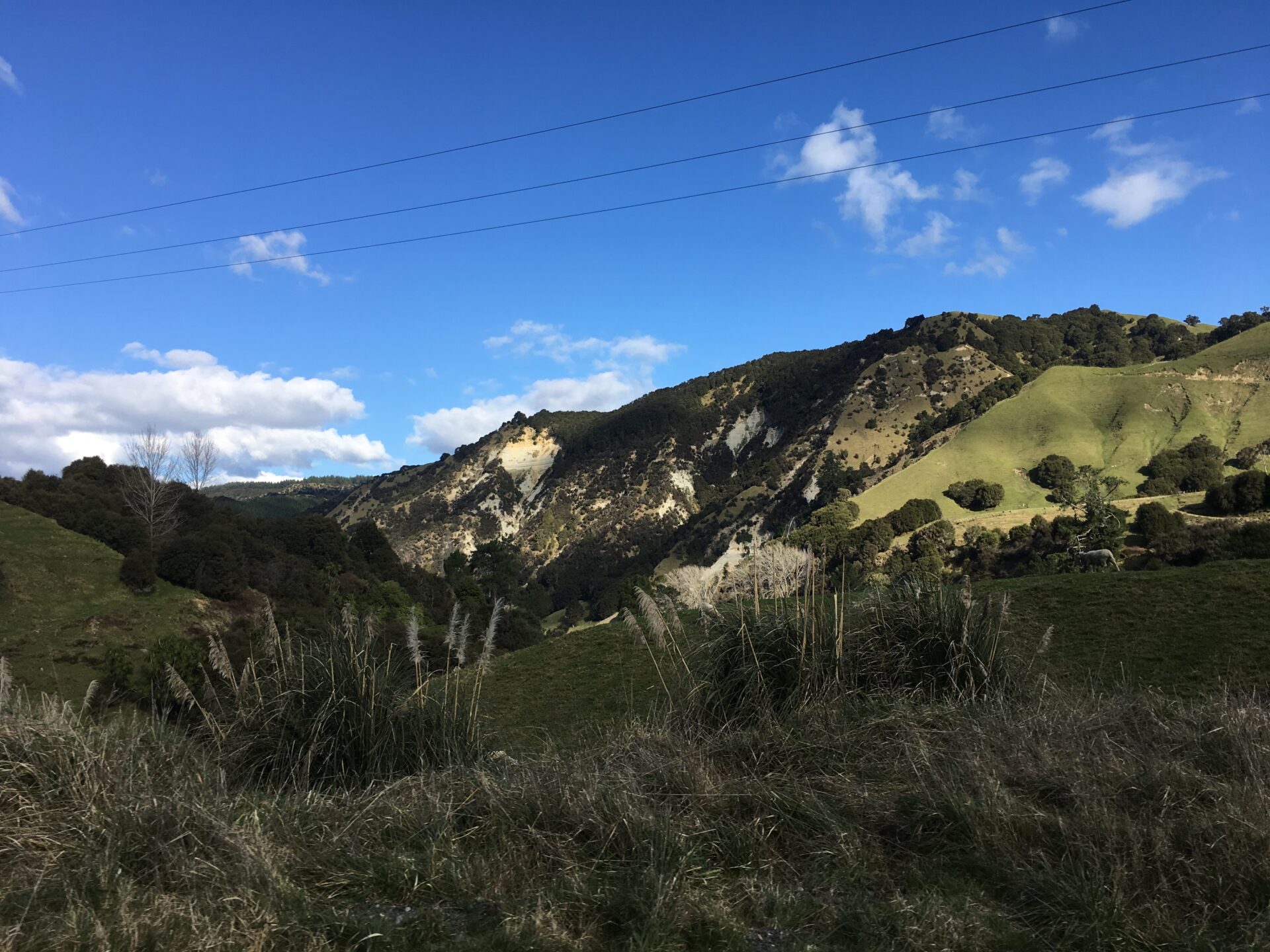 Te Urewera NP, Nouvelle-Zéland