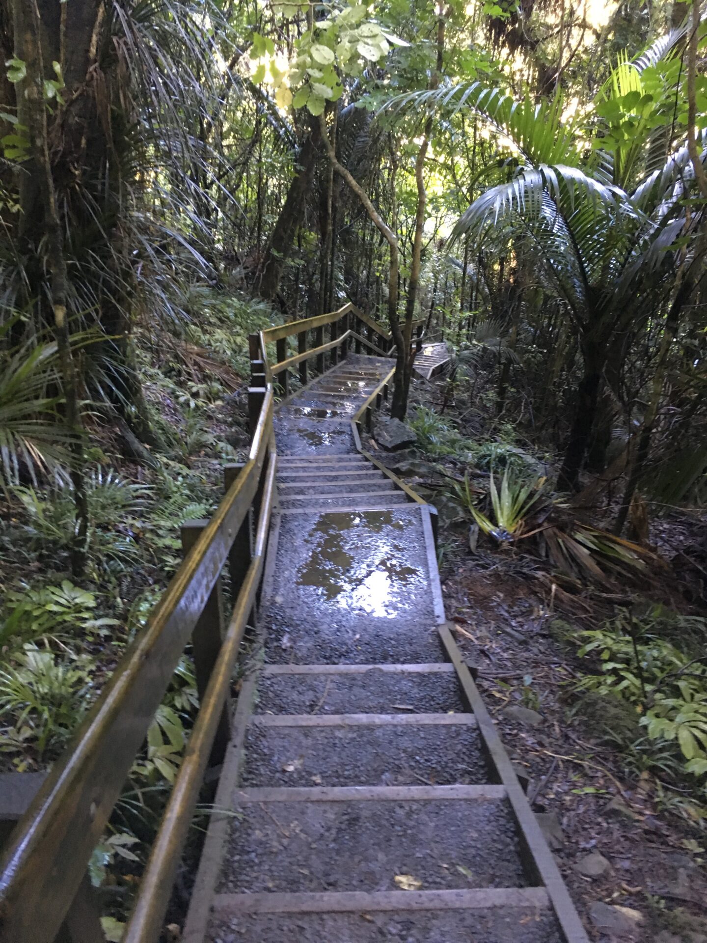 Raglan, Nouvelle-Zélande