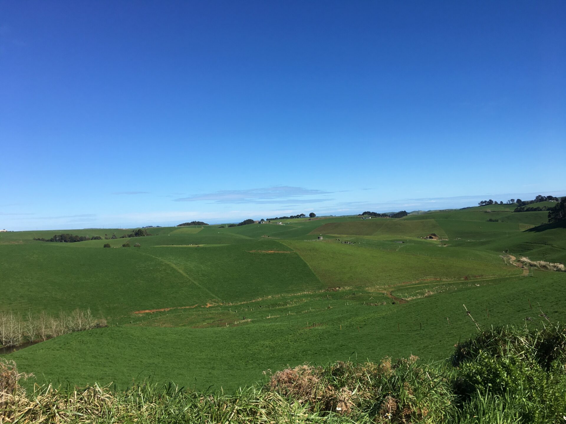 Raglan, Nouvelle-Zélande