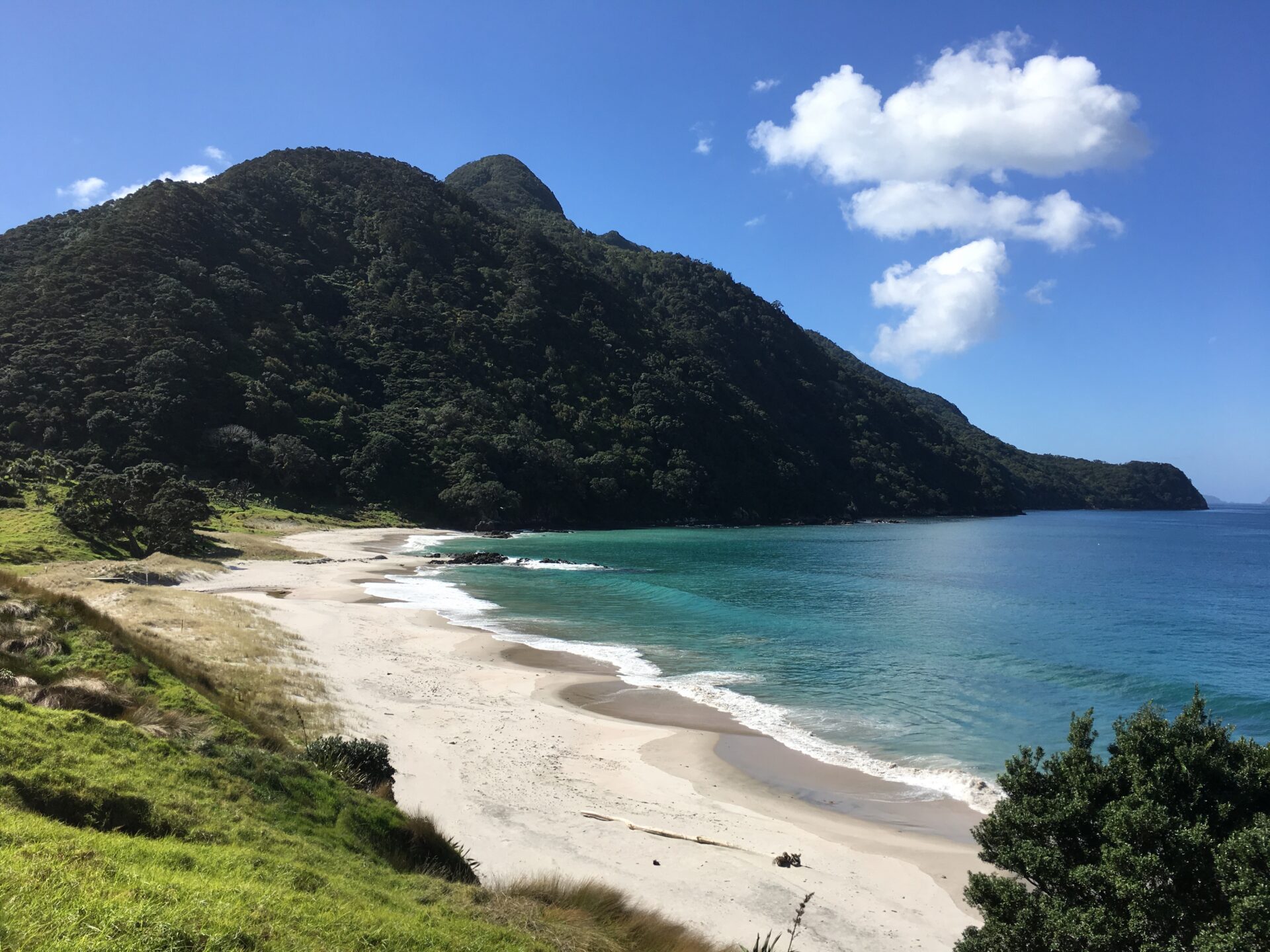 Whangarei head, Nouvelle-Zélande