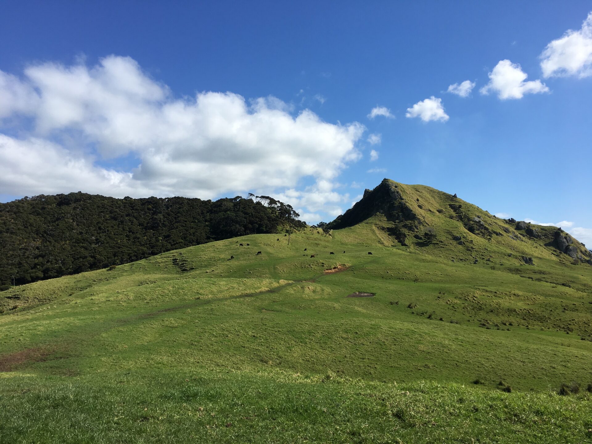 Whangarei head, Nouvelle-Zélande