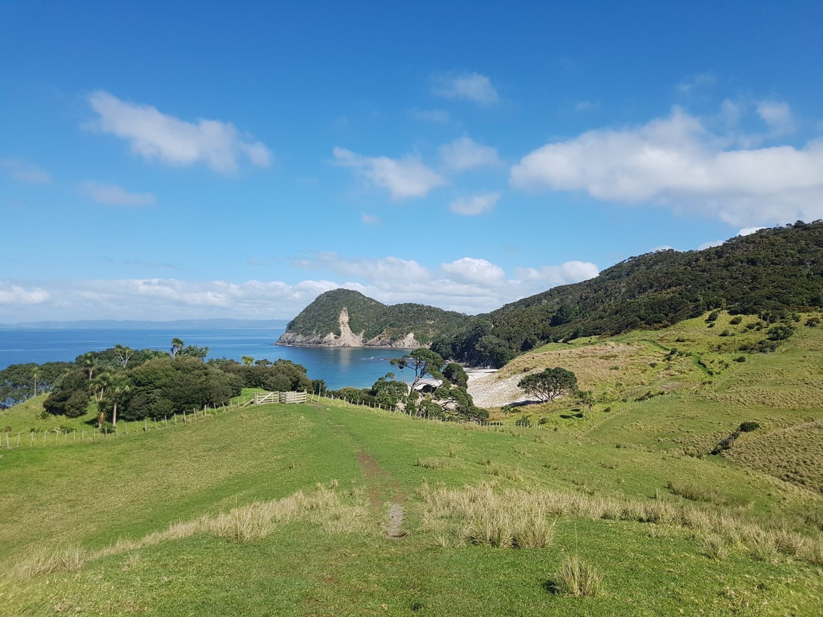 Whangarei head, Nouvelle-Zélande
