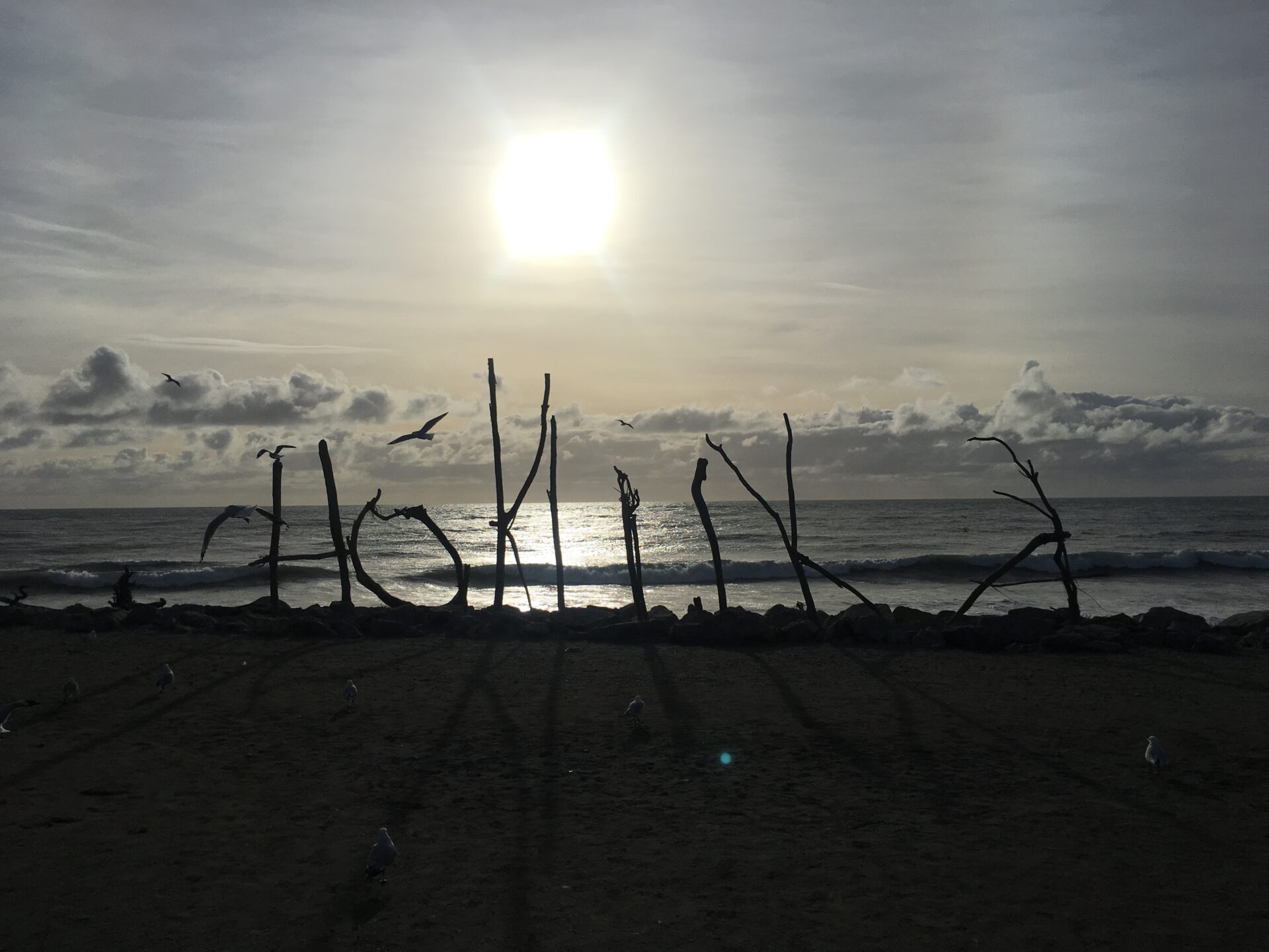 Hotikita, Nouvelle-Zélande