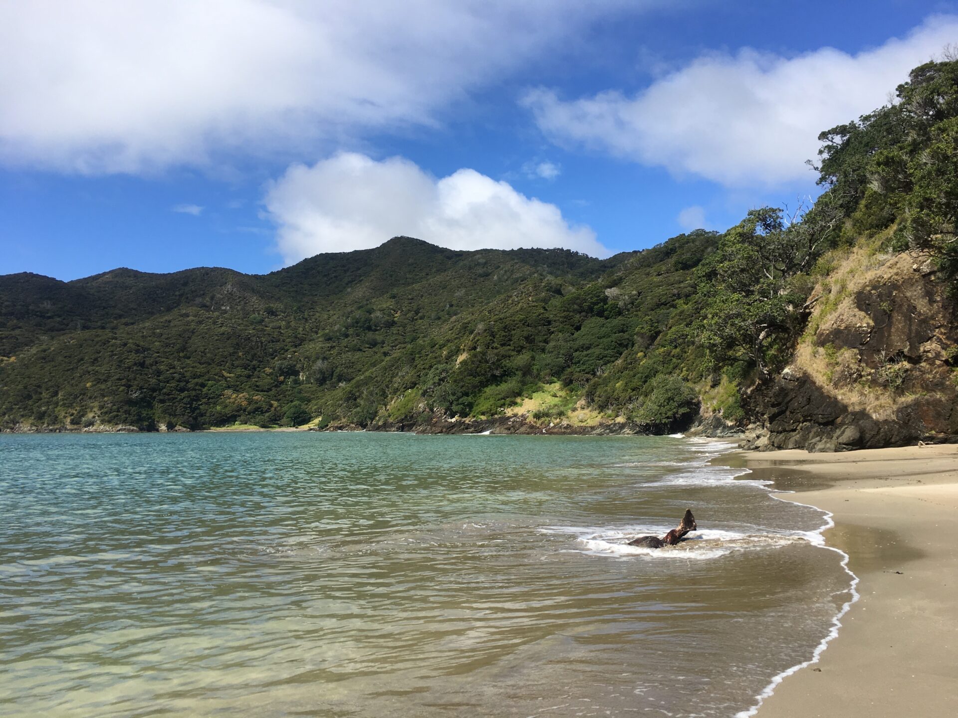 Kerikeri, Nouvelle-Zélande