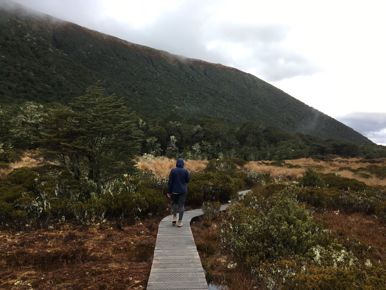 Lewis Pass, Nouvelle-Zélande