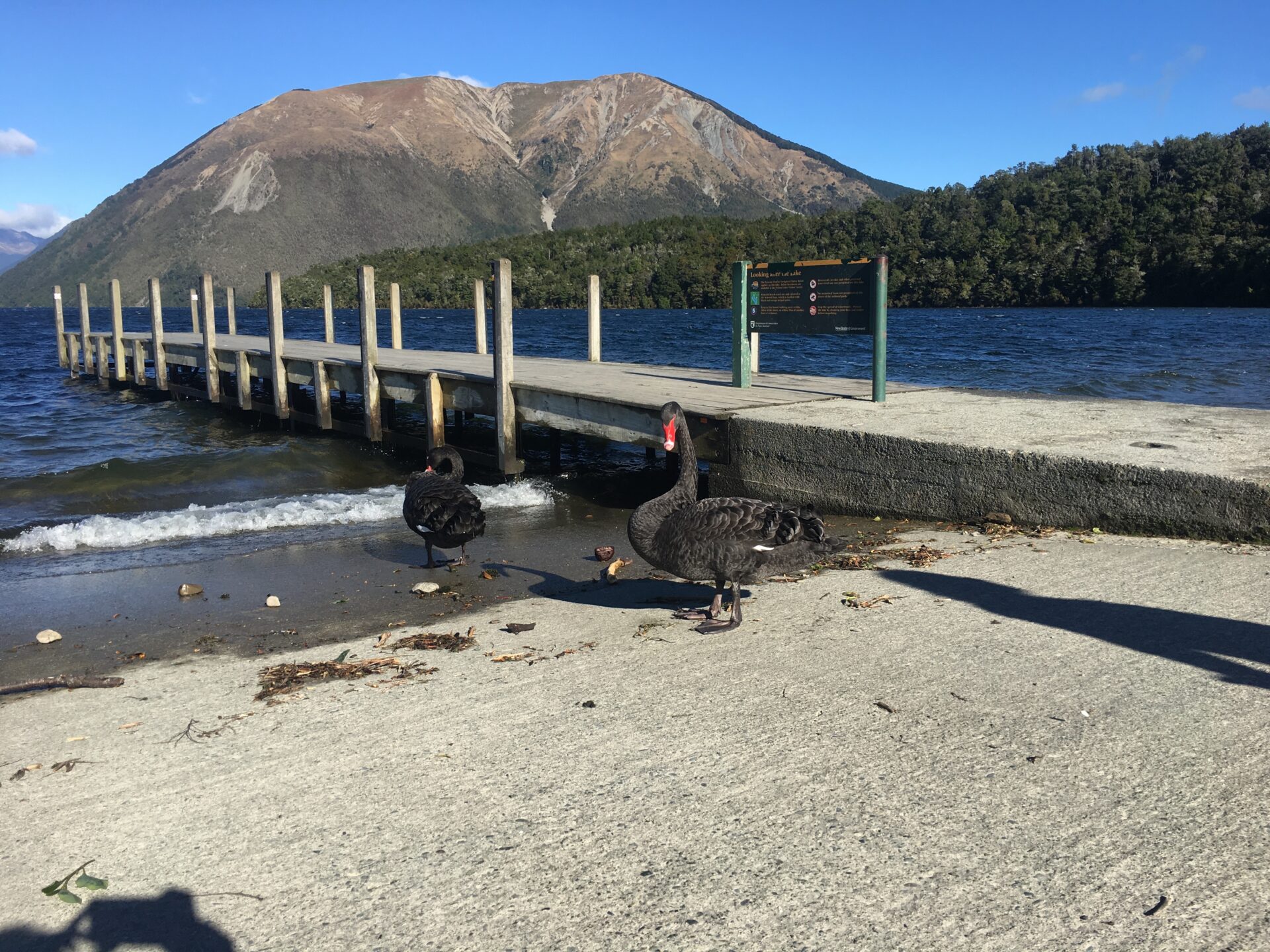 Mapourika Lake, Nouvelle-Zélande
