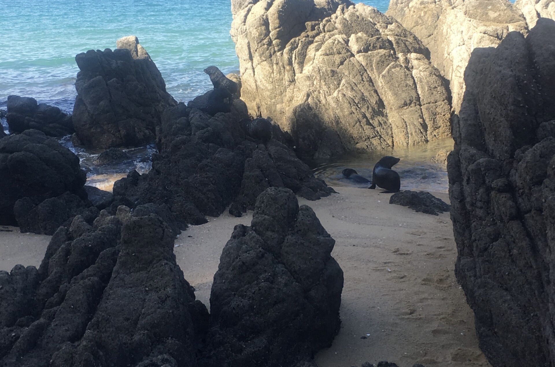 Abel Tasman National Park, Nouvelle-Zélande