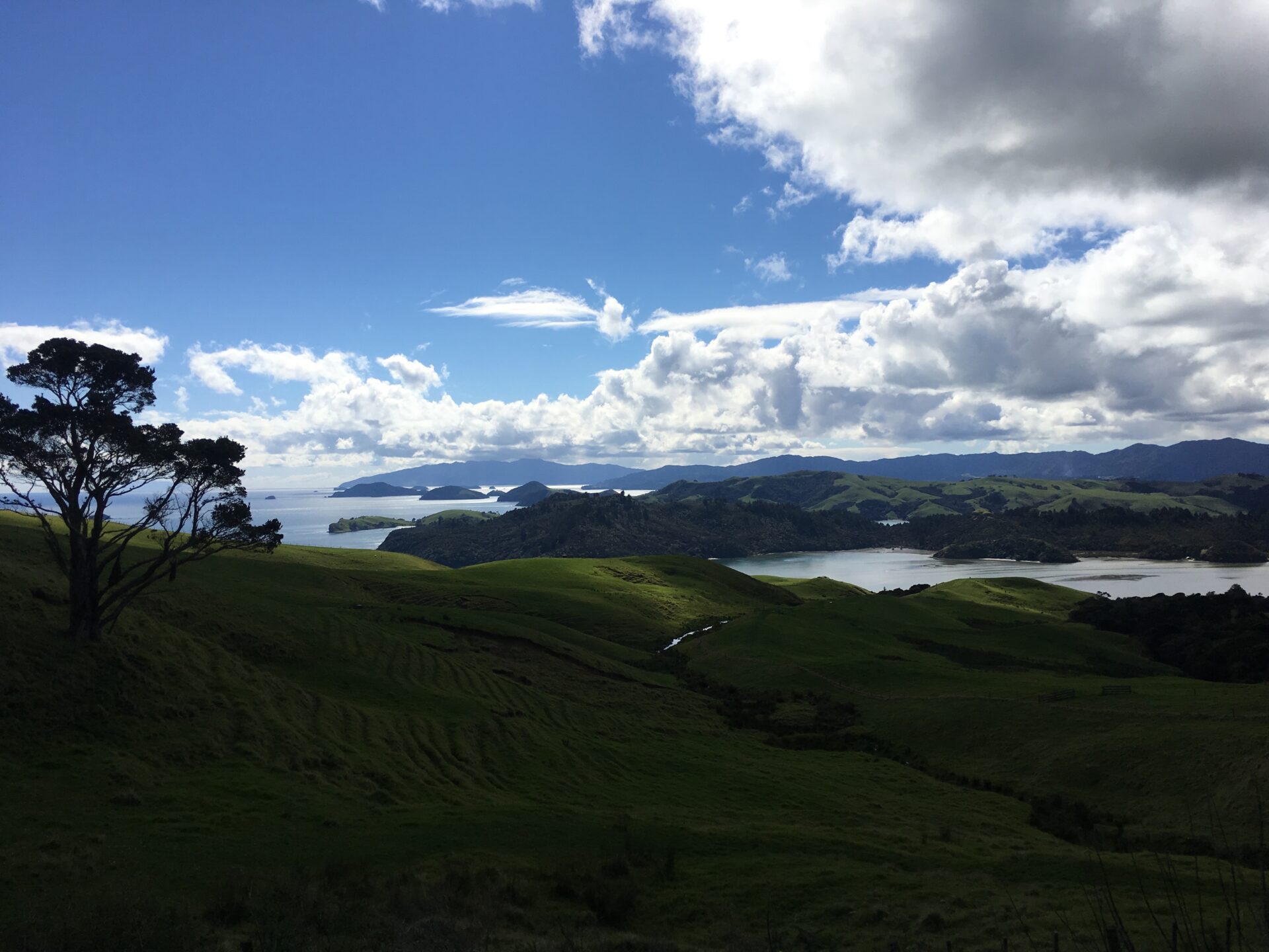 Péninsule de coromandel, Nouvelle-Zélande