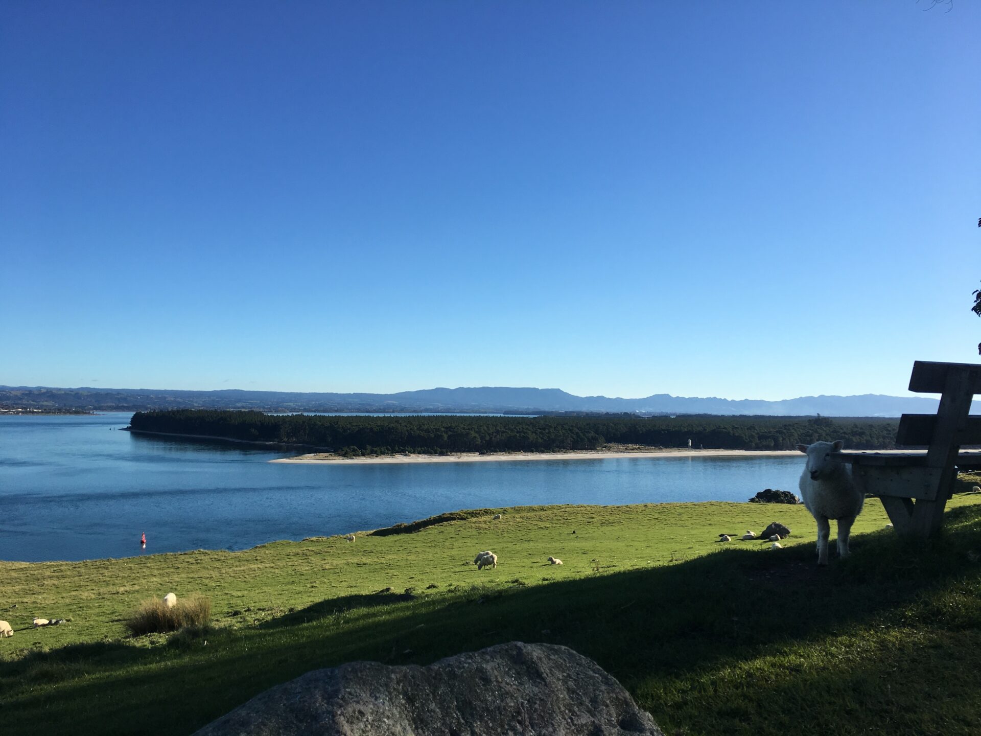Tauranga, Nouvelle-Zélande