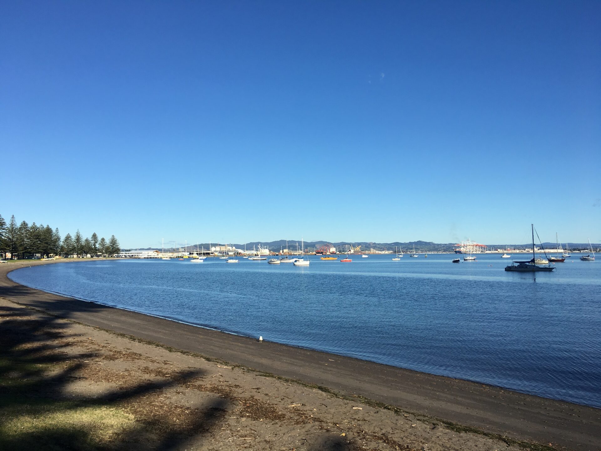 Tauranga, Nouvelle-Zélande