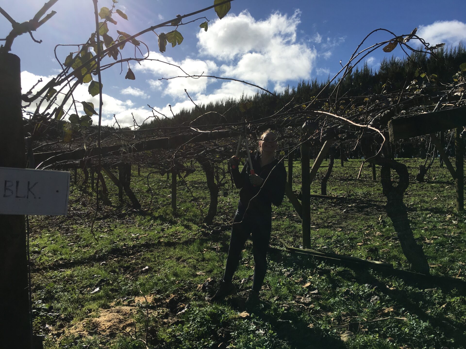 Te Puke, Nouvelle-Zélande