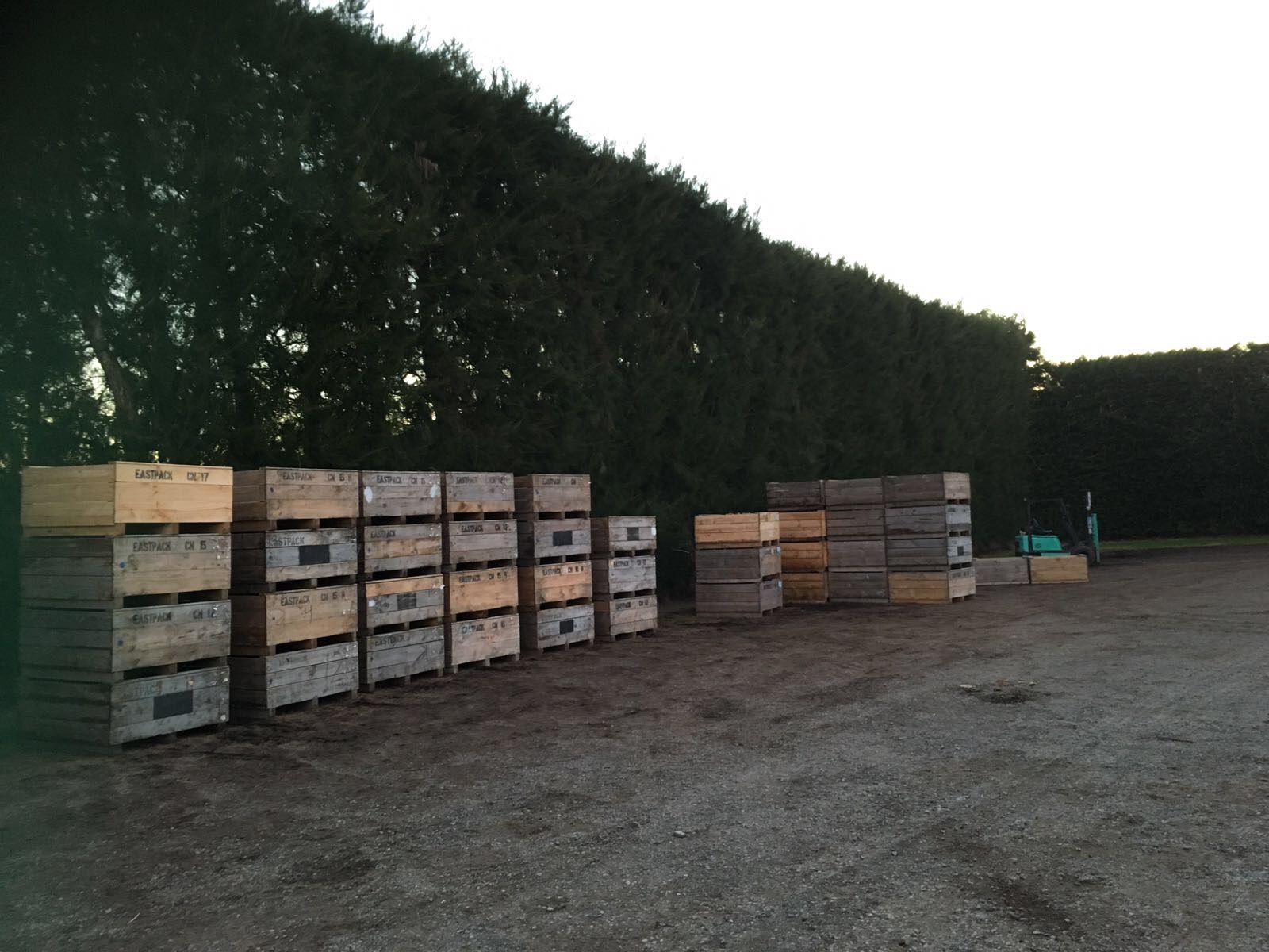 Te Puke, Nouvelle-Zélande