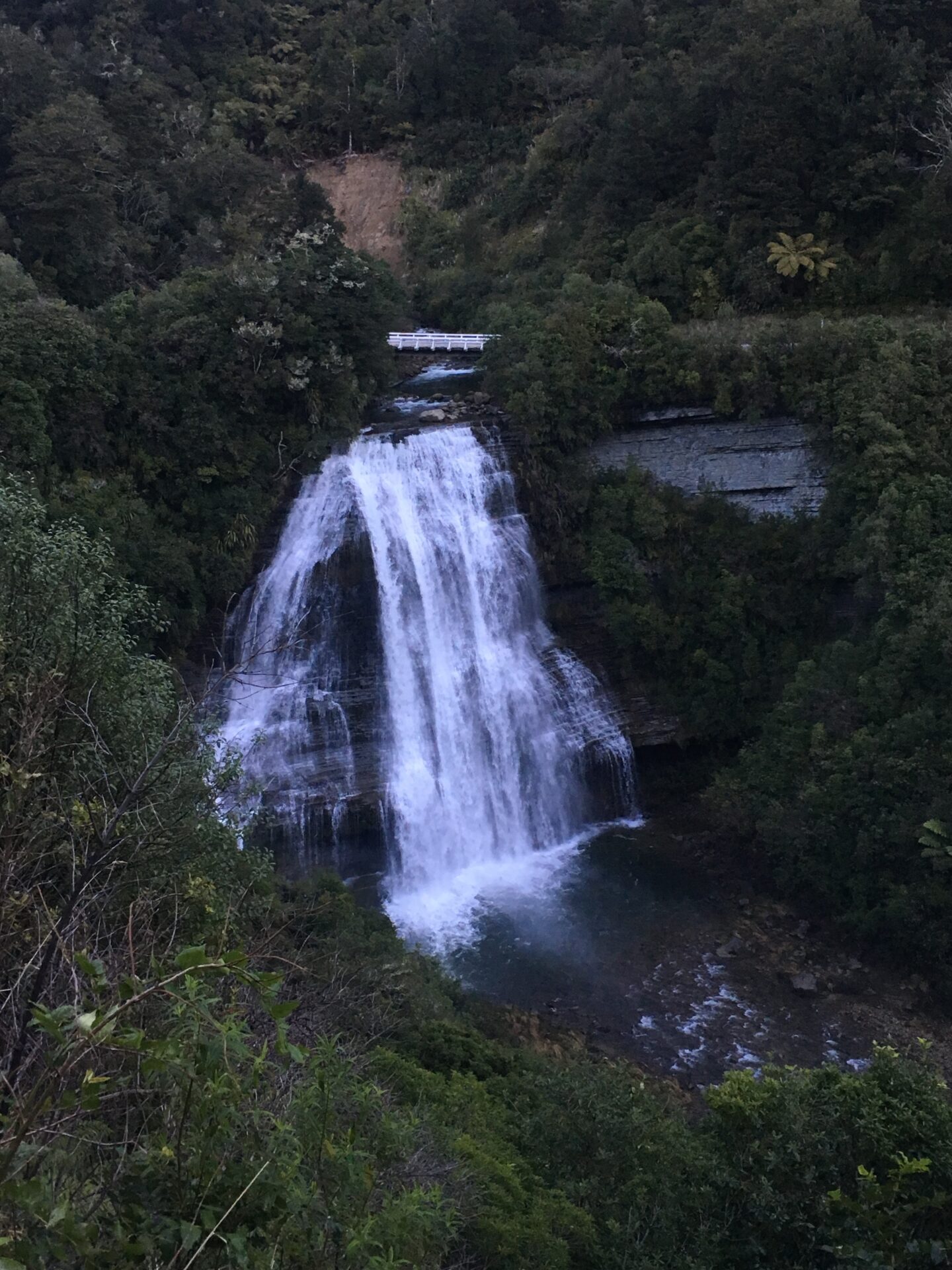 Te Urewera NP, Nouvelle-Zélande