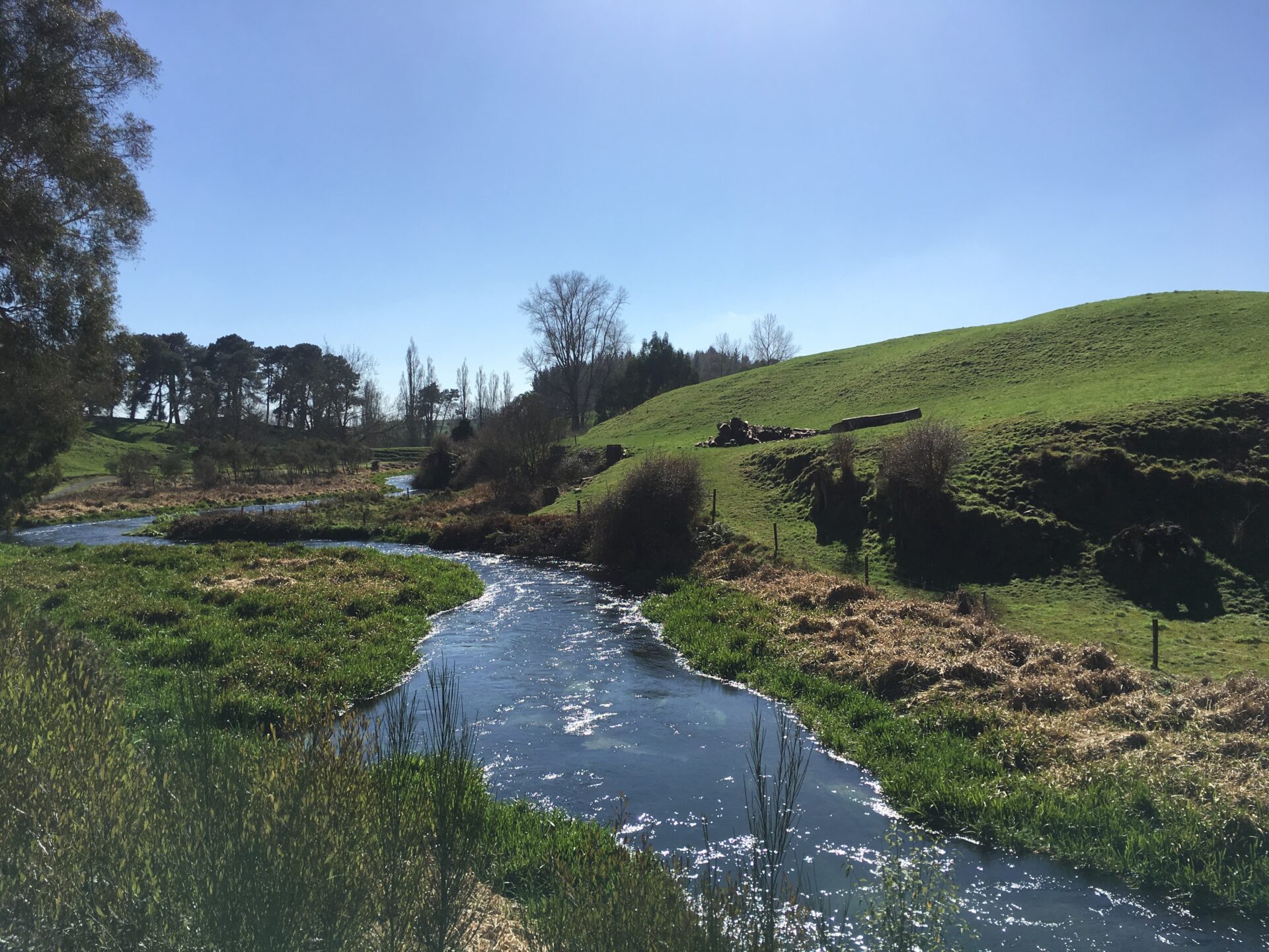 Te Waihou Walkway, Nouvelle-Zélande