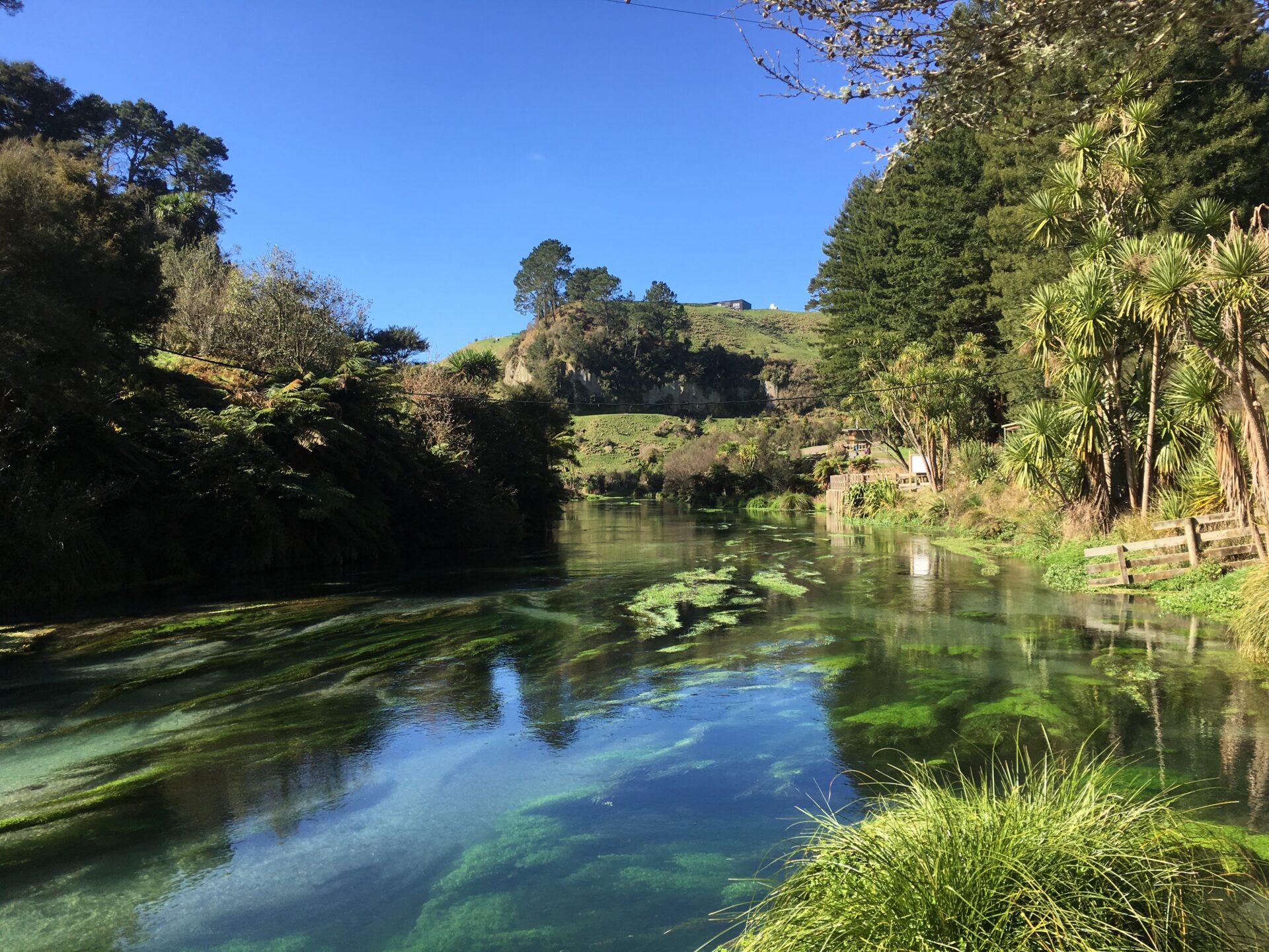 Te Waihou Walkway, Nouvelle-Zélande
