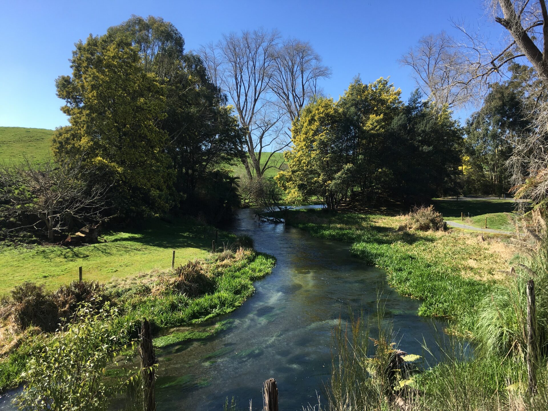 Te Waihou Walkway, Nouvelle-Zélande
