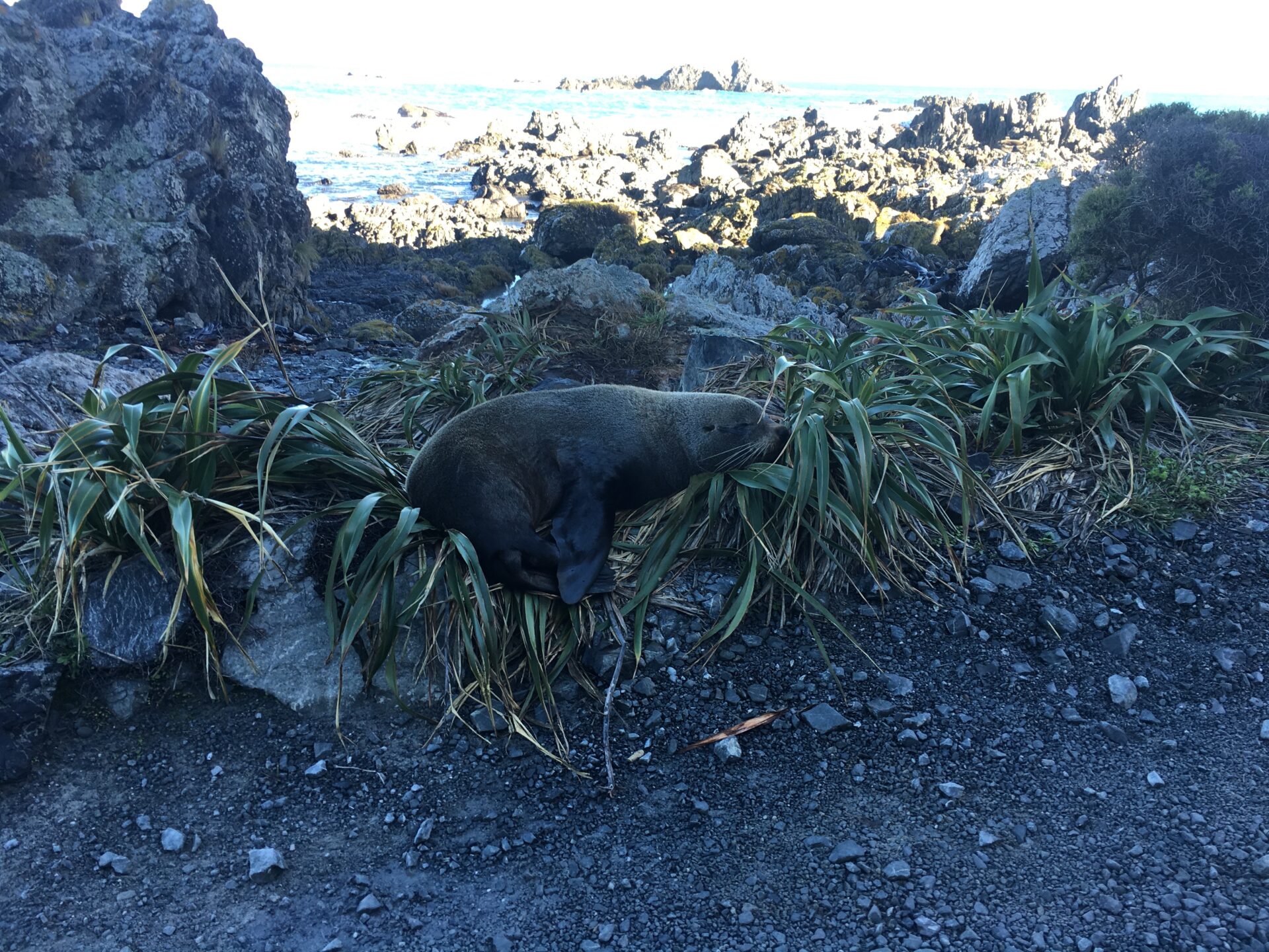 Wellington, Nouvelle-Zélande.