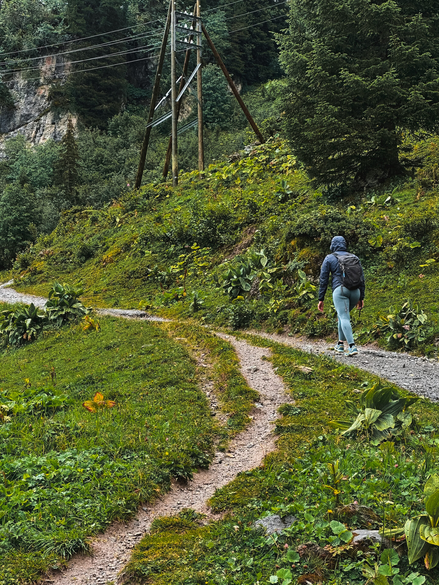 Randonnée Pic Chaussy, Suisse