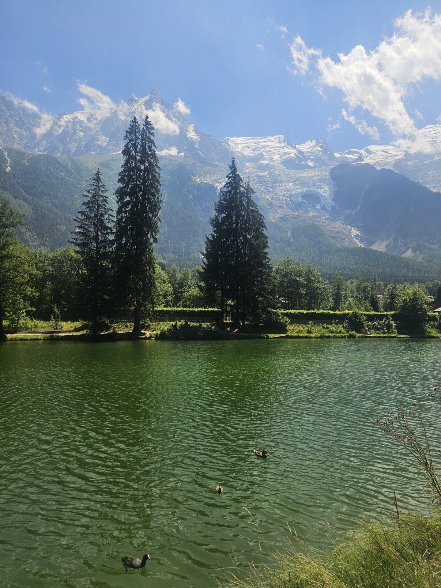 Une pause fraicheur au bord du lac des gaillands à côté de Chamonix