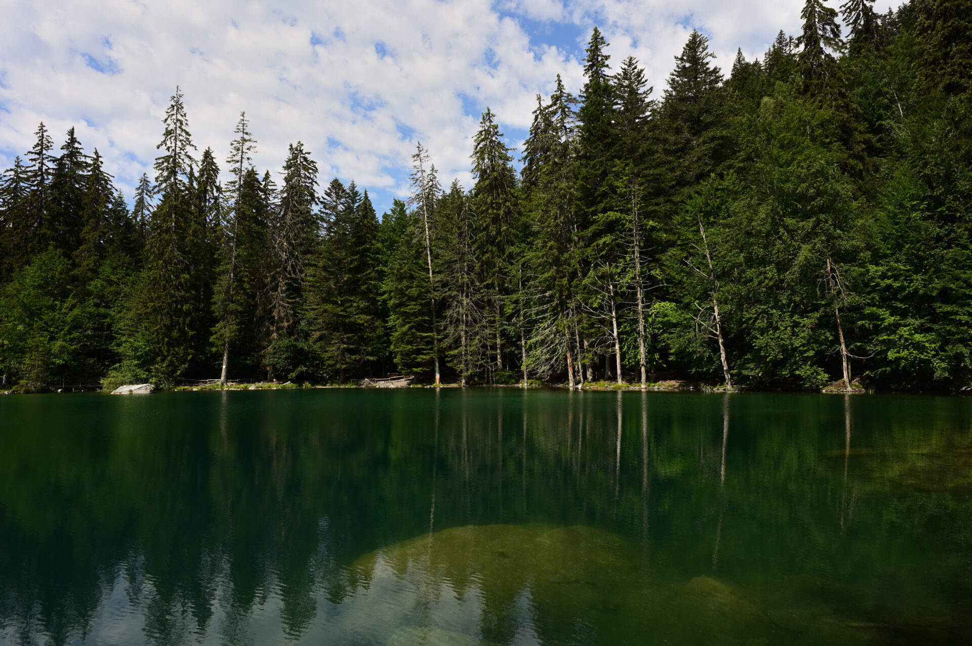 Promenade touristique autour du lac vert à Passy en Haute-Savoie