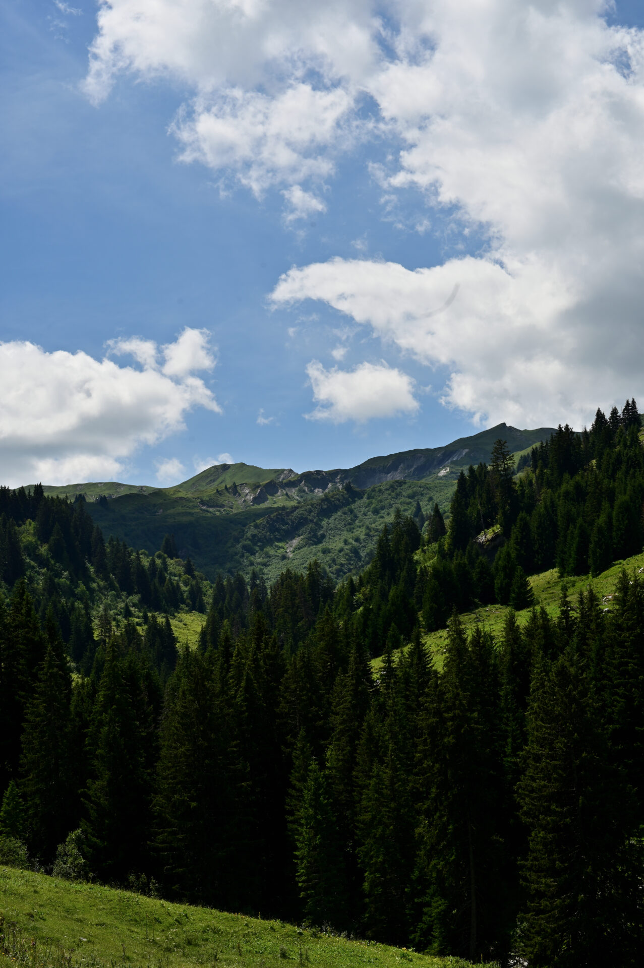 Panorama sur le chemin vers le lac des fées